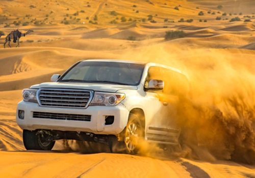 Desert Island Camp And Resort